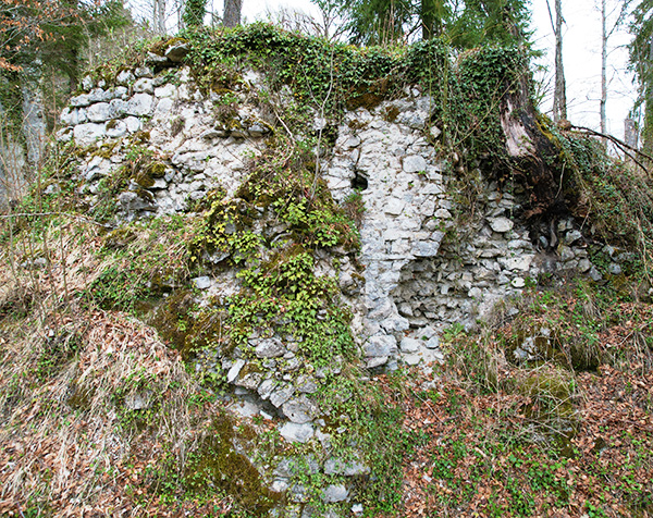 Mauerstück auf der südlichen Hügelseite Hohenburgs mit Stützmauerrest